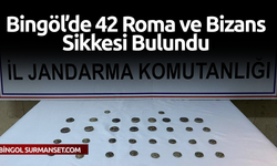 Bingöl'de 42 Roma ve Bizans Sikkesi Bulundu
