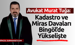 Bingöl’de Davalar Artıyor: Avukat Tuğa’dan Uyarı