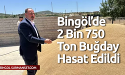 Bingöl’de 2 Bin 750 Ton Buğday Hasat Edildi