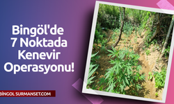 Bingöl'de 7 Noktada Kenevir Operasyonu!