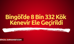 Bingöl’de 8 Bin 332 Kök Kenevir Ele Geçirildi