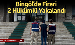 Bingöl’de Firari 2 Hükümlü Yakalandı