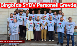 Bingöl’de SYDV Personeli Grevde
