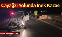 Çayağzı Köyü Yolunda İnek Kazası