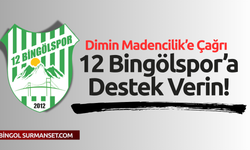 Dimin Madencilik’e Çağrı: 12 Bingölspor’a Destek Verin!
