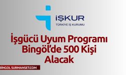 İşgücü Uyum Programı Bingöl’de 500 Kişi Alacak