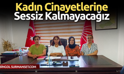 Kadın Cinayetlerine Sessiz Kalmayacağız