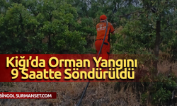 Kiğı’da Orman Yangını 9 Saatte Söndürüldü
