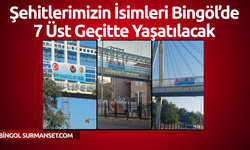 Şehitlerimizin İsimleri Bingöl’de 7 Üst Geçitte Yaşatılacak