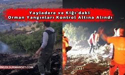 Yayladere ve Kiğı’daki Orman Yangınları Kontrol Altına Alındı