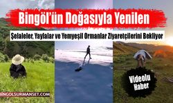 Şelaleler, Yaylalar ve Yemyeşil Ormanlar Ziyaretçilerini Bekliyor