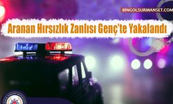 Aranan Hırsızlık Zanlısı Genç'te Yakalandı