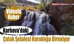 Karlıova'daki Çatak Şelalesi Kuraklığa Direniyor