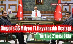 Bingöl’e 36 Milyon TL Hayvancılık Desteği: Türkiye 2’ncisi Oldu