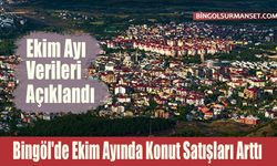 Bingöl'de Ekim Ayında Konut Satışları Arttı