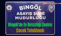 Bingöl'de Ev Hırsızlığı Zanlısı Çocuk Tutuklandı