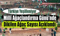 Millî Ağaçlandırma Günü'nde Dikilen Ağaç Sayısı Açıklandı