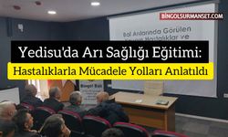 Yedisu'da Arı Sağlığı Eğitimi: Hastalıklarla Mücadele Yolları Anlatıldı