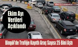 Bingöl'de Trafiğe Kayıtlı Araç Sayısı 25 Bini Aştı