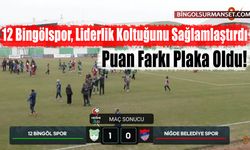 12 Bingölspor, Liderlik Koltuğunu Sağlamlaştırdı