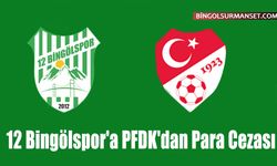 12 Bingölspor'a PFDK'dan Para Cezası