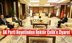 AK Parti Heyetinden Rektör Çelik'e Ziyaret
