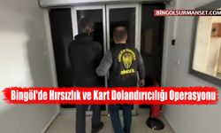 Bingöl'de Hırsızlık ve Kart Dolandırıcılığı Operasyonu