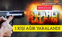 Bingöl'de Silahlı Çatışma: 1 Kişi Ağır Yaralı