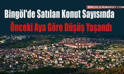 Bingöl'de Satılan Konut Sayısında Önceki Aya Göre Düşüş Yaşandı