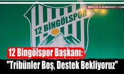 12 Bingölspor Başkanı: "Tribünler Boş, Destek Bekliyoruz"