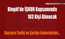 Bingöl'de İŞKUR Kapsamında 163 Kişi Alınacak