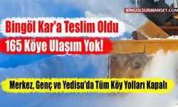 Bingöl Kar'a Teslim Oldu: 165 Köye Ulaşım Yok!
