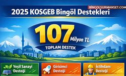 Bingöl'de Girişimcilik ve Sanayiye 2025'te Rekor Destek