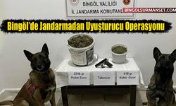 Bingöl’de Jandarmadan Uyuşturucu Operasyonu