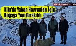 Kiğı'da Yaban Hayvanları İçin Doğaya Yem Bırakıldı