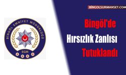 Bingöl'de Hırsızlık Zanlısı Tutuklandı