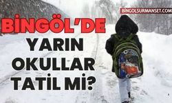 Bingöl'de Yarın Okullar Tatil Olacak mı?