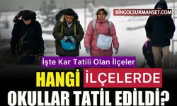 O İlçelerde Okullar Çarşamba Günü de Tatil Edildi