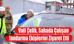 Vali Çelik, Sahada Çalışan Jandarma Ekiplerini Ziyaret Etti