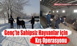 Genç’te Sahipsiz Hayvanlar için Kış Operasyonu
