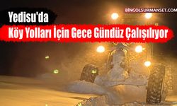 Yedisu'da Köy Yolları İçin Gece Gündüz Çalışılıyor