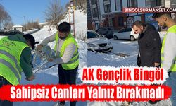 AK Gençlik Bingöl Sahipsiz Canları Yalnız Bırakmadı