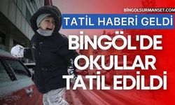 Bingöl'de Yoğun Kar: 5 İlçede Okullar Tatil
