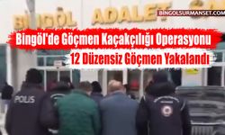 Bingöl'de Göçmen Kaçakçılığı Operasyonu