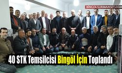 40 STK Temsilcisi Bingöl İçin Toplandı