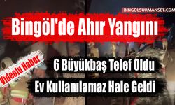 Bingöl'de Ahır Yangını: 6 Büyükbaş Telef Oldu, Ev Kullanılamaz Hale Geldi
