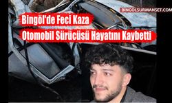 Bingöl'de Feci Kaza: Otomobil Sürücüsü Hayatını Kaybetti