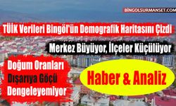 TÜİK Verileri Bingöl'ün Demografik Haritasını Çizdi