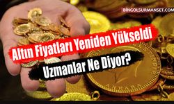 Altın Fiyatları Yeniden Yükseldi, Uzmanlar Ne Diyor?