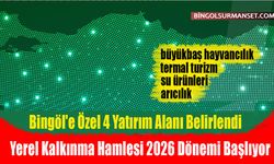 Yerel Kalkınma Hamlesi 2026 Dönemi Başlıyor